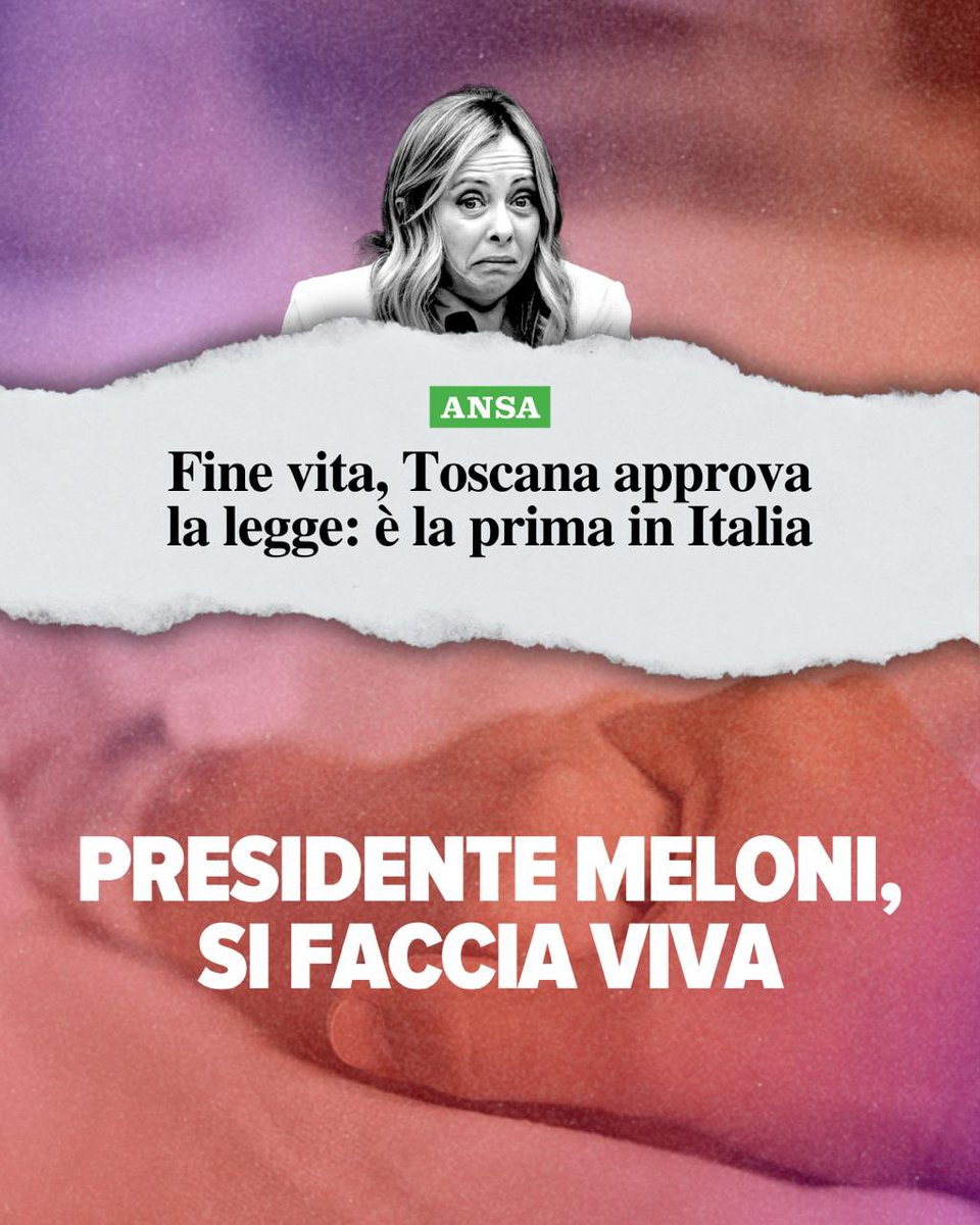Marco Furfaro tweet media