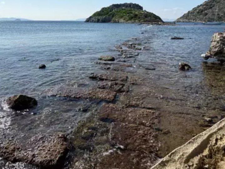 irene_makarenko's tweet photo. ⭕️#Greece. After the earthquakes on #Santorini, 11,000 people left the island with a population of 15,500. 5 thousand remained...

The land level has risen by ab. 40 cm, revealing the old Street of the Kings in the ancient city of Myndos. It had been under the sea 2,000 years🙄 https://t.co/P4NlLxGsAu