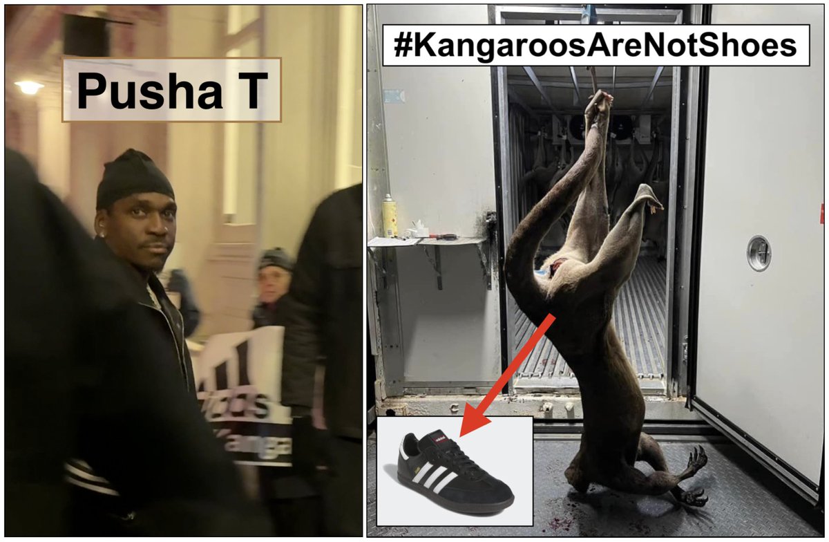 Animal Rights News tweet media