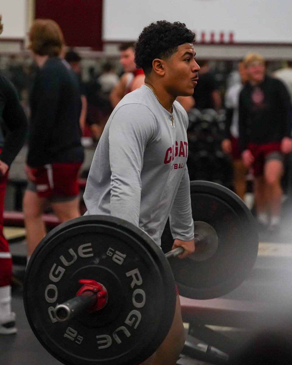 Offseason grind 😤

#GoGate | #DrawTheLine