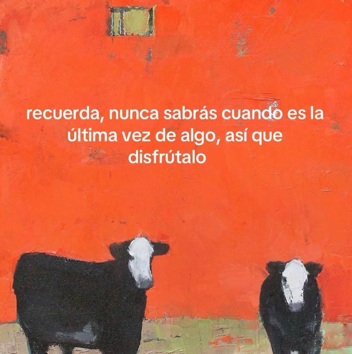 emociones amarillas (@conoloracigarro) on Twitter photo 