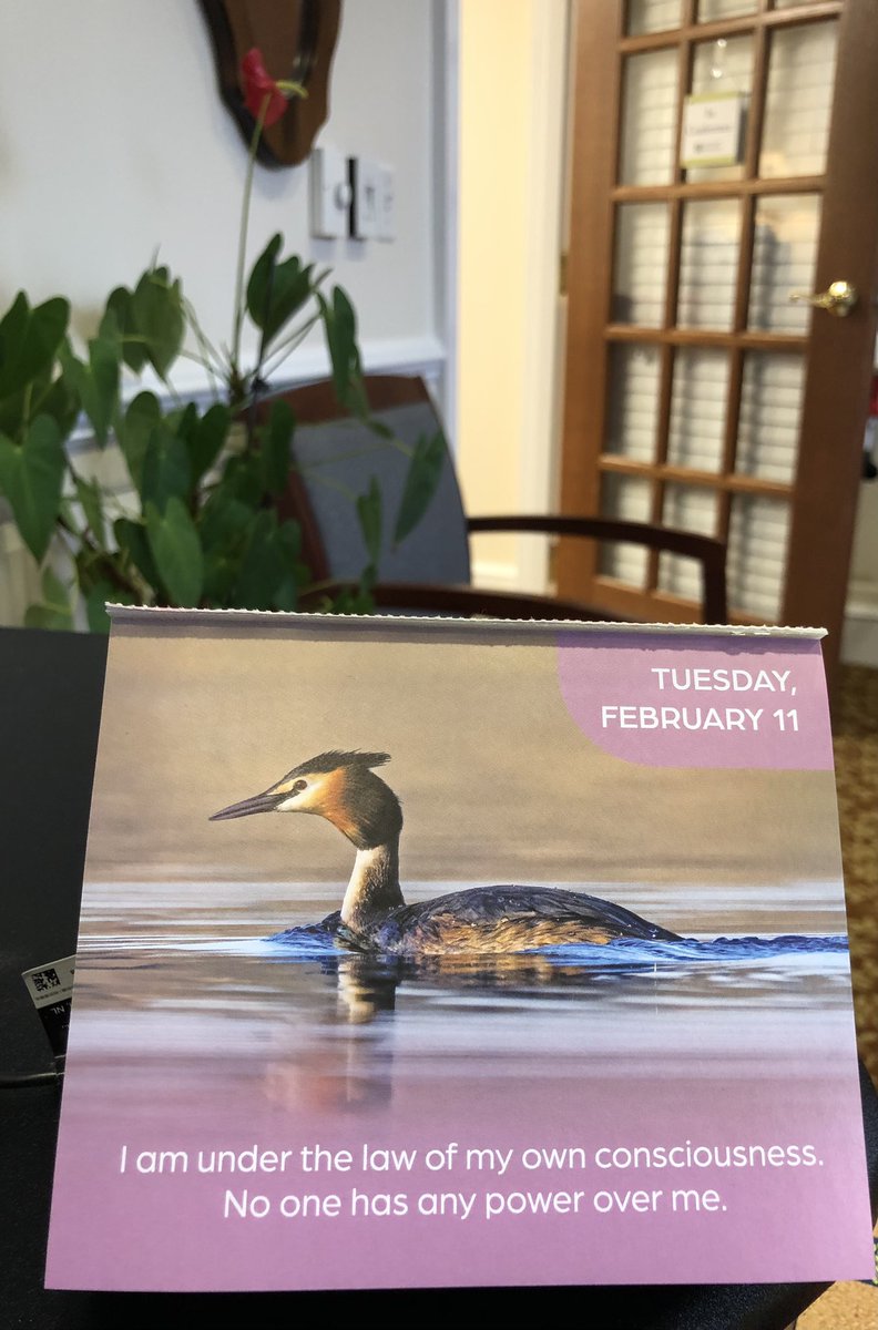 Emily Endert, CHHR #lookingonthebrightside tweet media