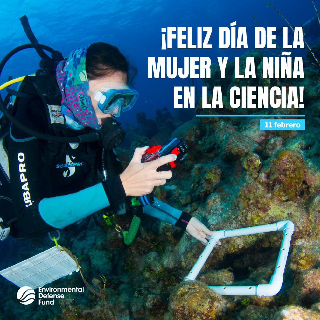 🔬 🙆 ¡Feliz #Díadelamujerylaniñaenlaciencia! La ciencia nunca podrá estar completa sin la participación equitativa de todos los géneros. Sigamos caminando hacia un futuro donde las voces de todas las y los científicxs tengan la misma fuerza. 🎉