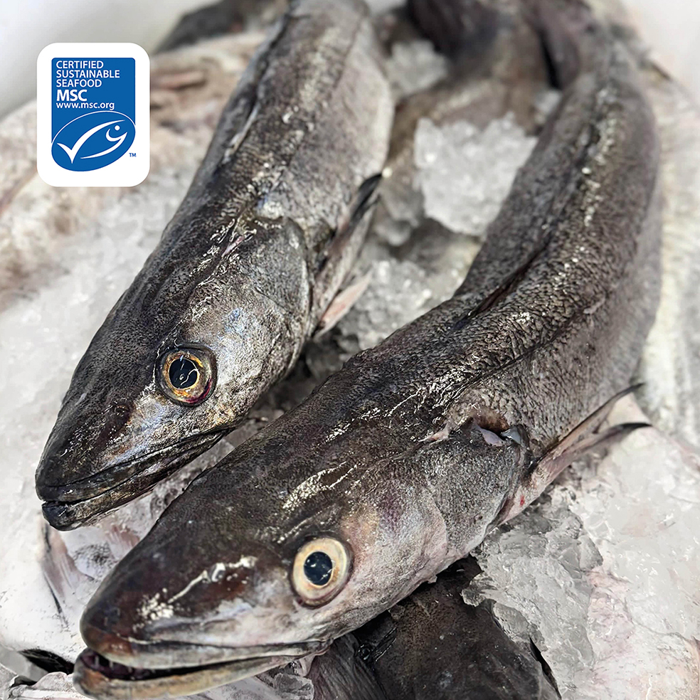 Direct Seafoods tweet media