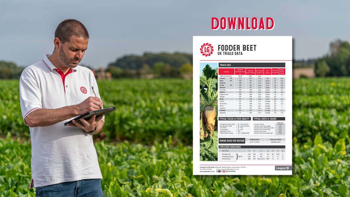 LGSeedsUK tweet media