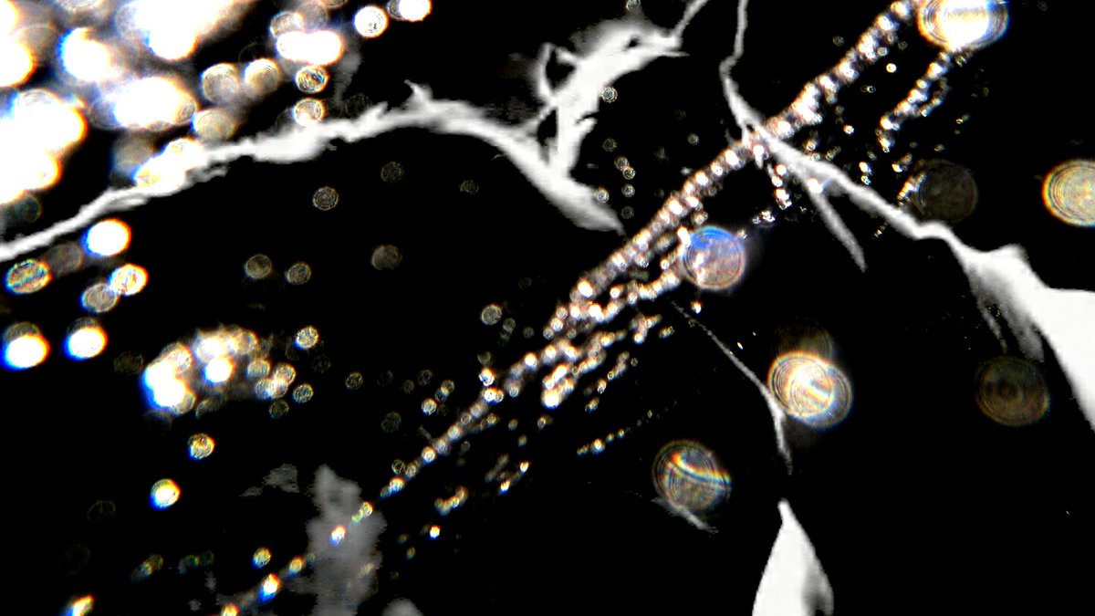 Instupendo tweet media