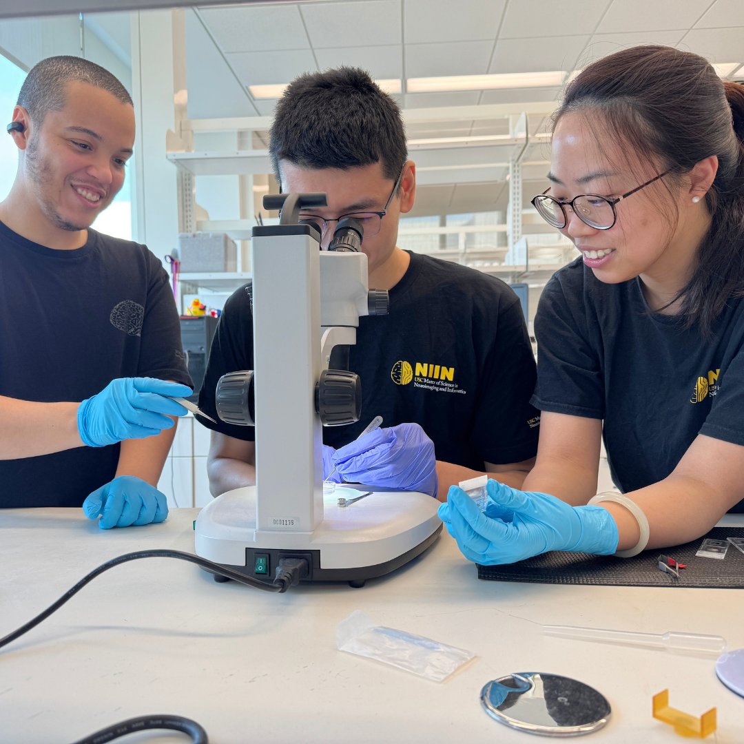 USC Master's in NeuroImaging and Informatics: NIIN tweet media