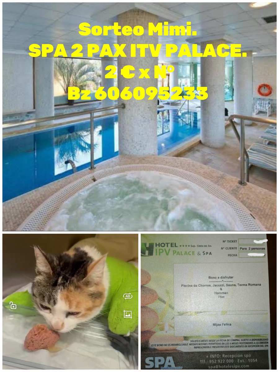 Sorteo gastos vet Mimi. El ganador lo decidirá las 2 últimas cifras sorteo ONCE del día q se vendan todos. Pedir los números por el whatsap  facebook.com/share/p/14xURe…