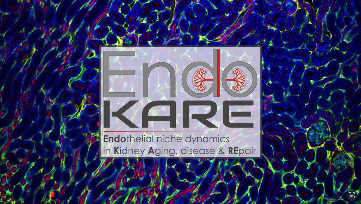 Sébastien J. Dumas (@sj_dumas) on Twitter photo Fellowship opportunity in my group 🇫🇷:
Motivated junior postdoc or final-year PhD (defense 01/01/2023–01/10/2025) ?
Interested in vascular metabolism, kidney pathophysiology, aging & single-cell/spatial omics ?
👉 DM : sebastien.dumas@inserm.fr
🔗 i2mc.inserm.fr/en/s-dumas-2/ Fellowship opportunity in my group 🇫🇷:
Motivated junior postdoc or final-year PhD (defense 01/01/2023–01/10/2025) ?
Interested in vascular metabolism, kidney pathophysiology, aging & single-cell/spatial omics ?
👉 DM : sebastien.dumas@inserm.fr
🔗 i2mc.inserm.fr/en/s-dumas-2/