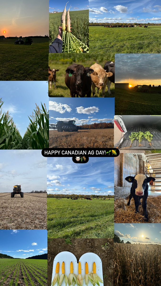 Happy #CdnAgDay ! 🌾🐮🌽🌱👩‍🌾

Here’s to the industry that I’m so proud to be apart of!