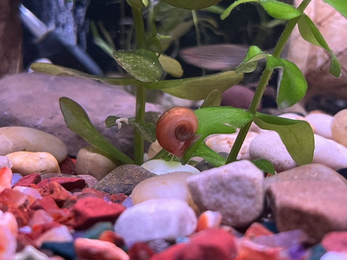 Je viens de terminer un tournage de 1 MOIS pour la prochaine vidéo ! Le concept tourne autour d’un hobby que certains pourraient reconnaître. 👀 Pourriez-vous devinez?