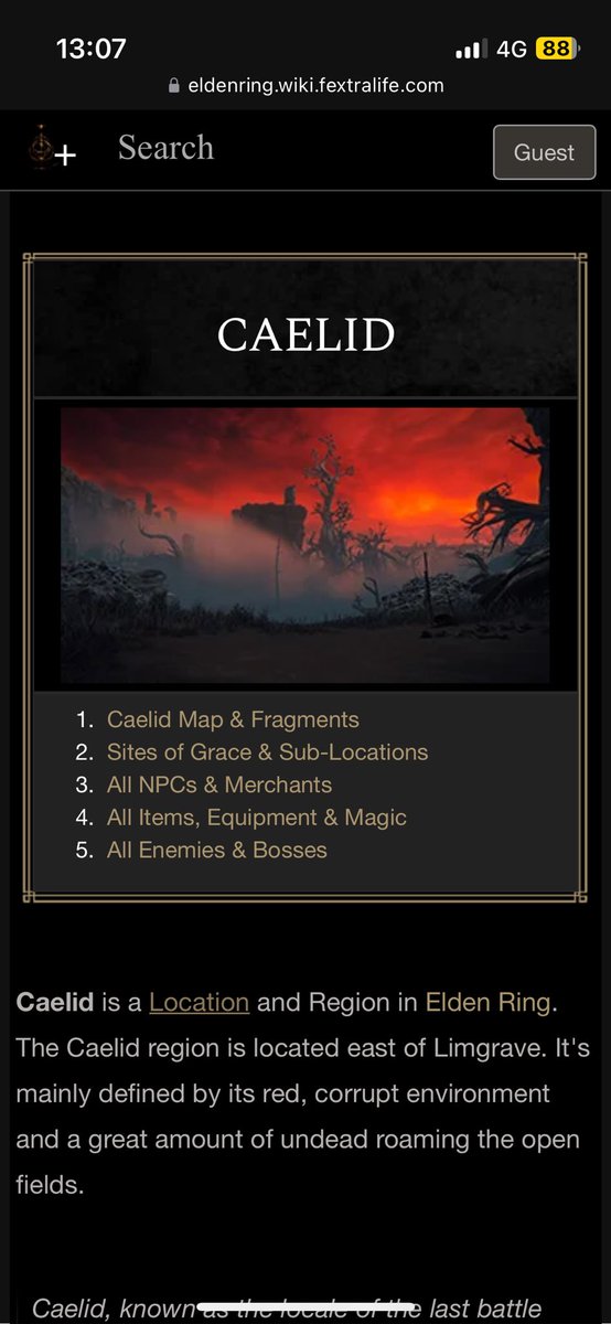 Mob & Djo tweet media