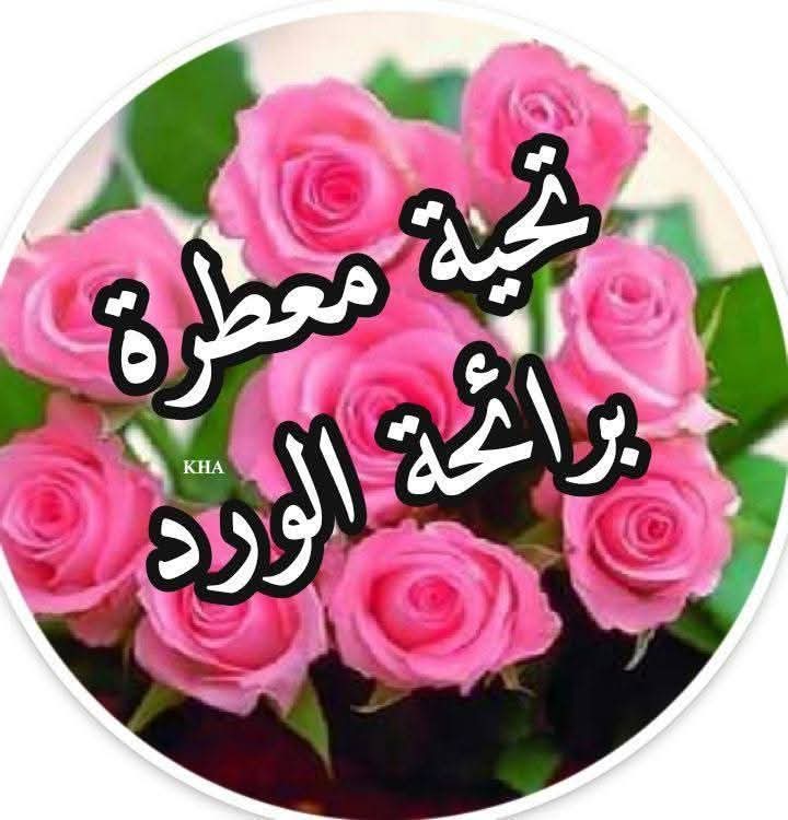 شرف التميمي00967735183186 tweet media