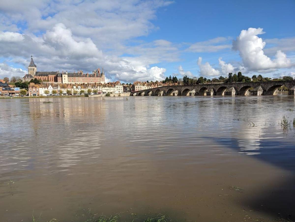 larep_fr's tweet image. Le corps d'un homme retrouvé dans la Loire, à #Gien larep.fr/gien-45500/fai…
