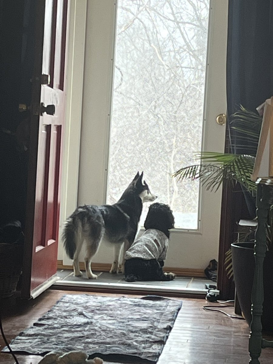 Xan Brown tweet media