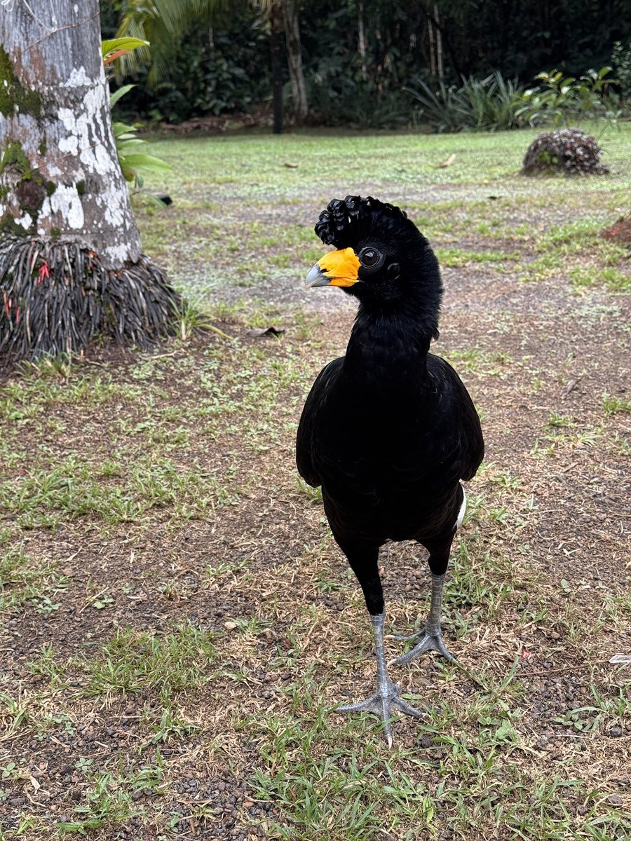 Gretchen Winter, MD 🌼 (Warning: Feral) tweet media