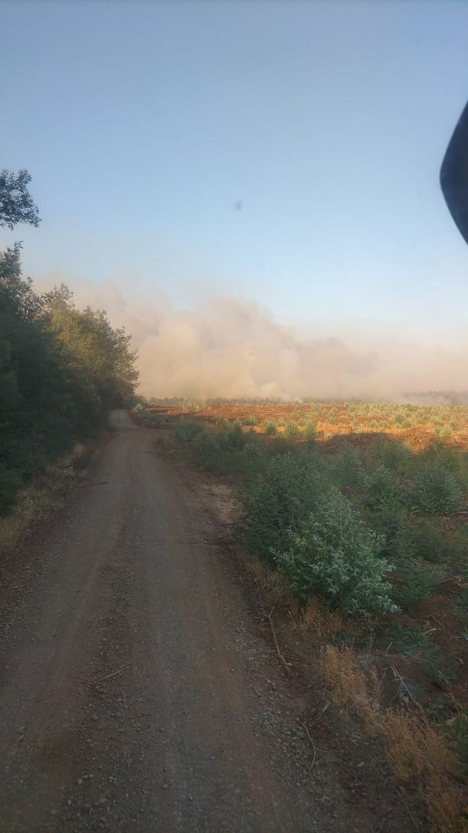 Apoyo a la Región de la Araucanía.
Tres días lleva trabajando nuestro carro 122 con dotación completa junto al Equipo Forestal de nuestro <a href="/CBV1851/">Bomberos Valparaíso</a> a la comuna de Collipulli. nuestro personal sin novedad y con proyección de trabajo por 4 días más. <a href="/BomberosdeChile/">Bomberos de Chile</a> <a href="/CBV1851/">Bomberos Valparaíso</a>