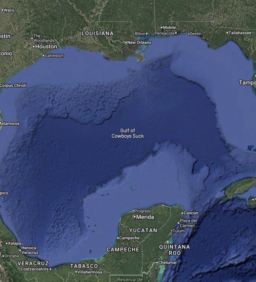 NFL_Memes's tweet image. Wow Google really changed it