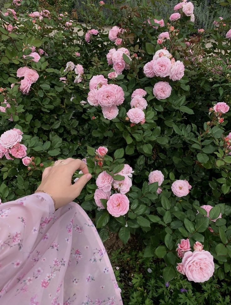 أحب كلمة "حاضر" تعني موافقه عن رضا تام وكُلي،و تعني الموافقه مرتين؛مرّه لانك طلبت و مرّه لانك انت من يطلب.