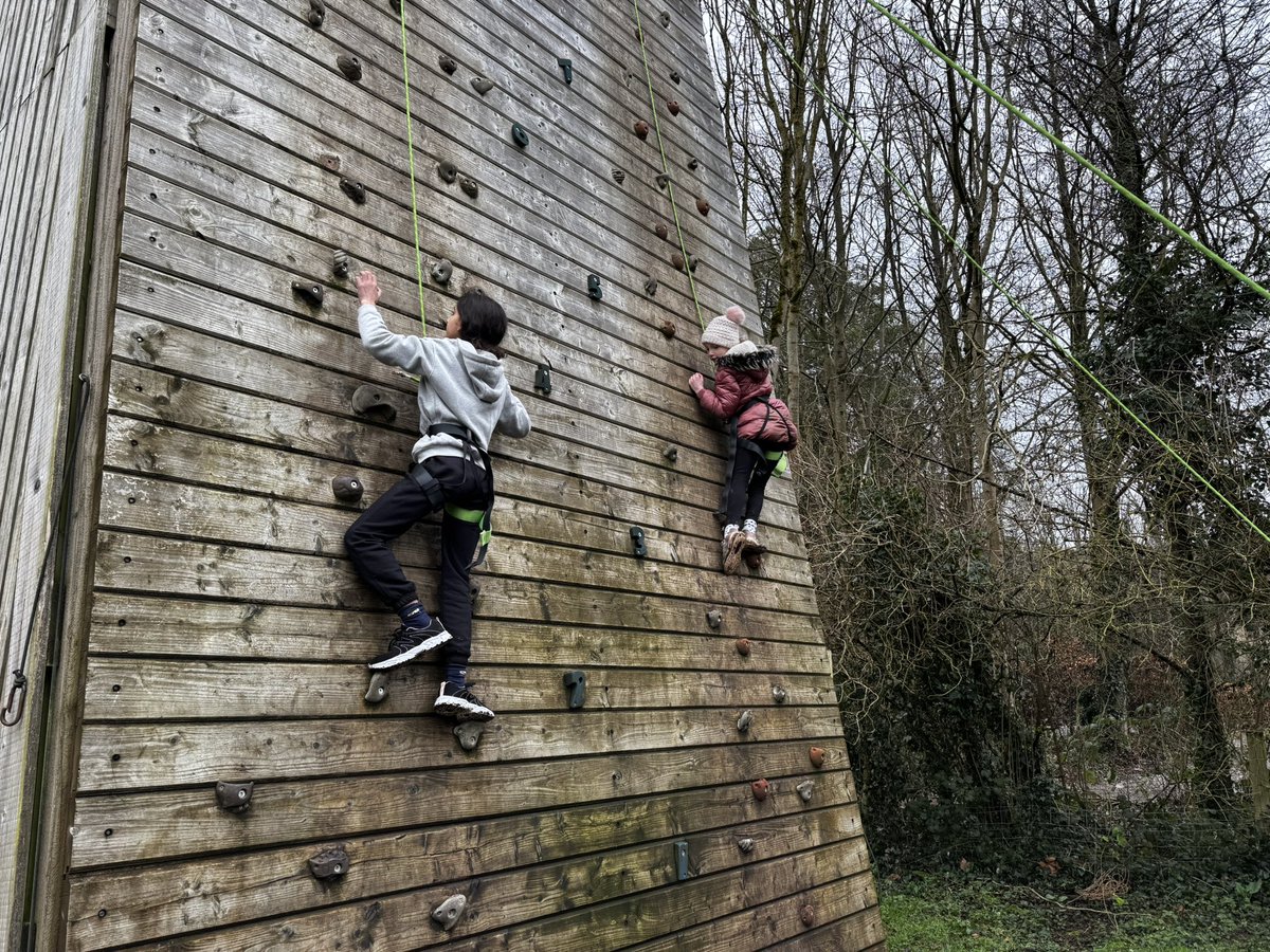 Climbing Hedgehogs! Who knew?