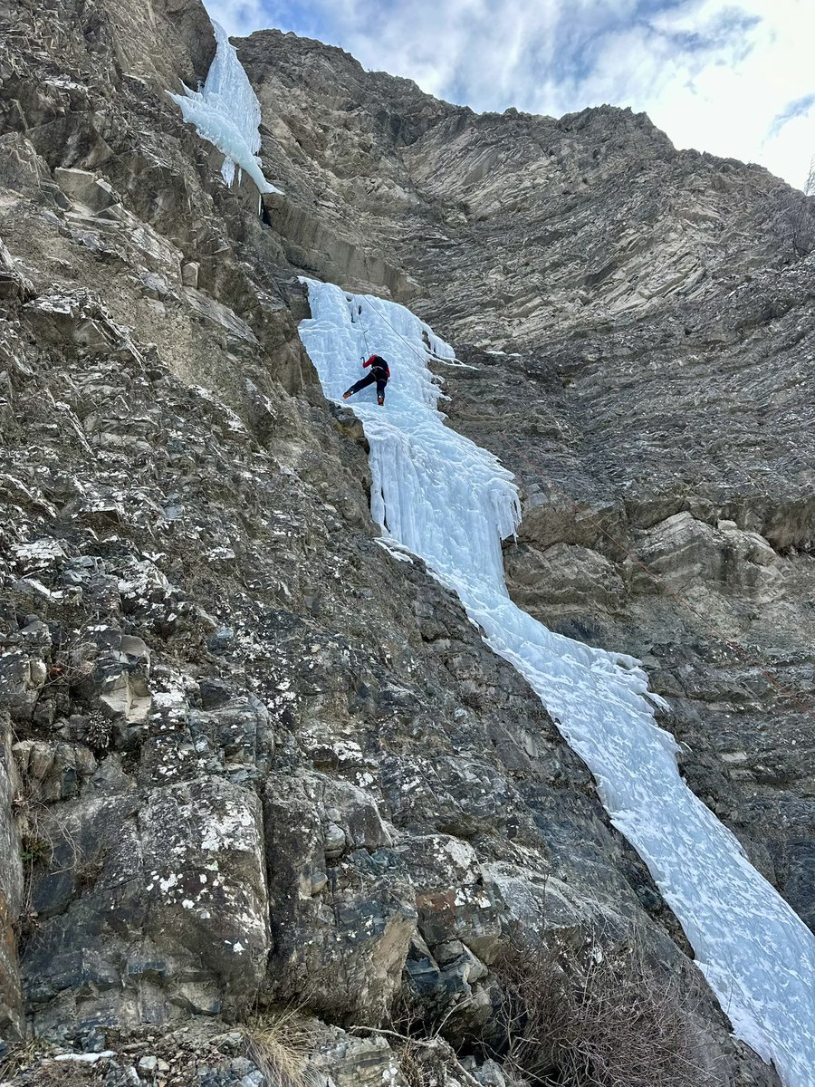 Uta Ibrahimi (@utaibrahimi) on Twitter photo 