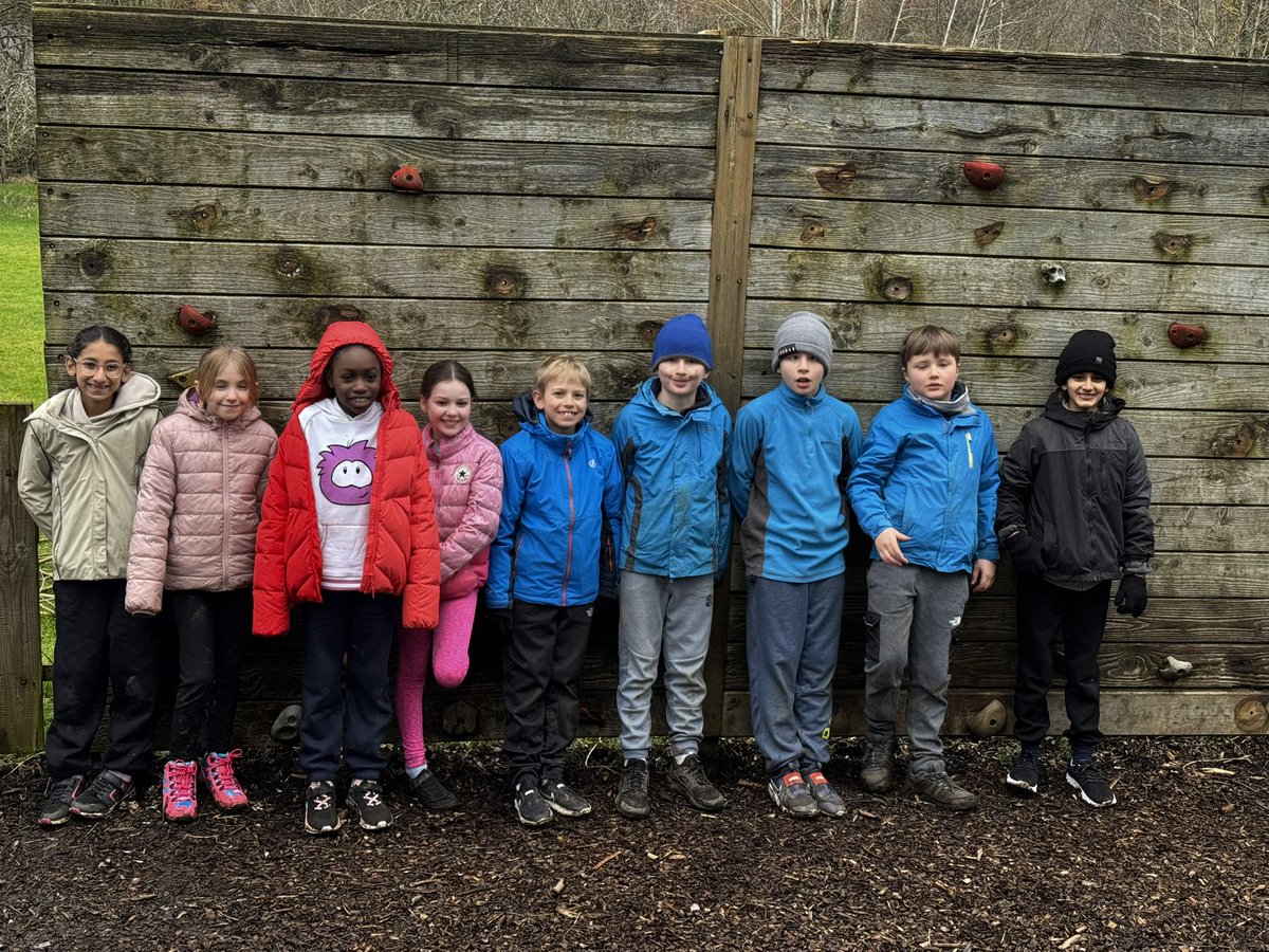 Nothing could stop these Hedgehogs from getting to the top!