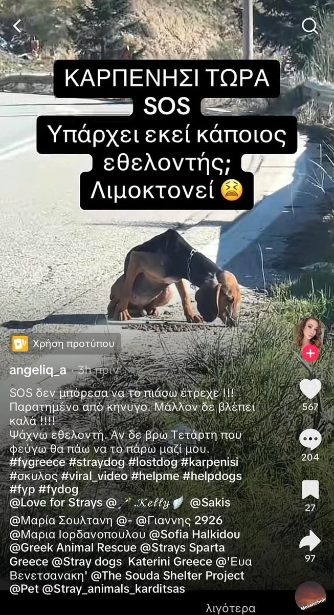 ‼️🆘‼️🆘‼️🆘‼️Καρπενησι‼️‼️‼️κοινοποίηση από fb. Παιδιά η κοπέλα το κοινοποίησε τικ τοκ κ το δημοσίευσαν fb. Κάνει έκκληση να την βοηθήσουν εθελοντές να πιαστεί προσπάθησε αλλά δεν μπόρεσε. Θα το πάρει εκείνη. Το σκυλί είναι σε τραγική κατάσταση. Αν υπάρχει κάποιος να βοηθήσει.