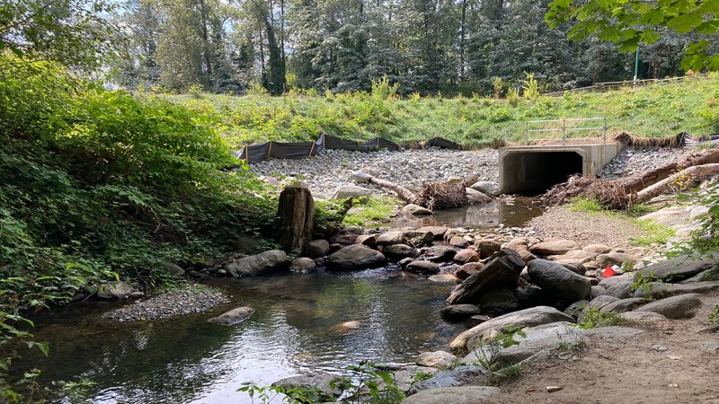 Join us for our next Living Labs Lecture on February 12th.     Find out how BCIT’s stormwater management strategy supports major campus development.