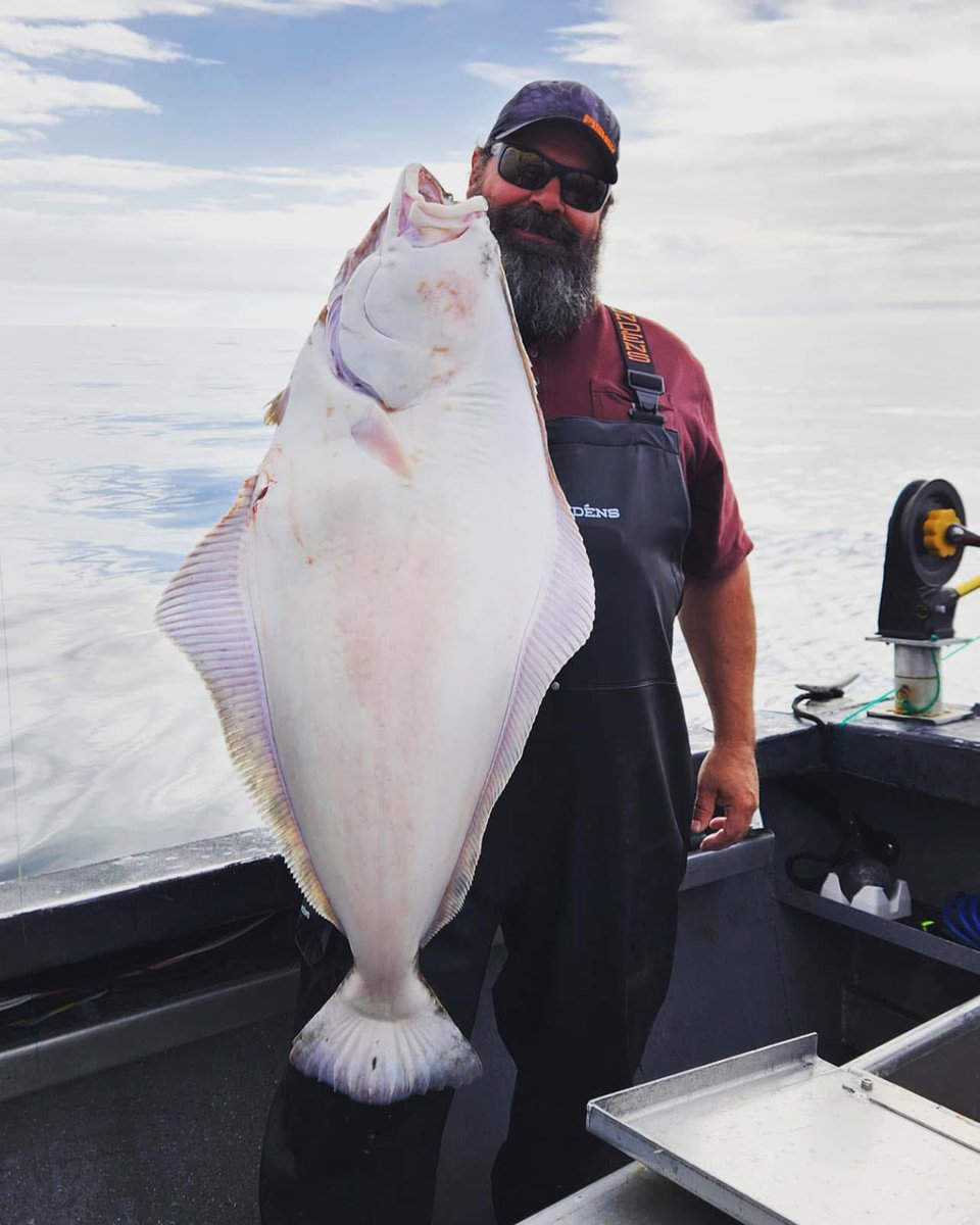 🎣 NEW 2025 Halibut Regulations for CHARTER Fishing in Southcentral Alaska! 
✅ 2 per person
✅ 1 any size, 1 must be 27” or smaller
🚫 No retention on Tues &amp; Weds
🎟 New: A Federal Halibut Stamp (similar to a Salmon Stamp) is now required. #AlaskaFishing #HalibutRegs