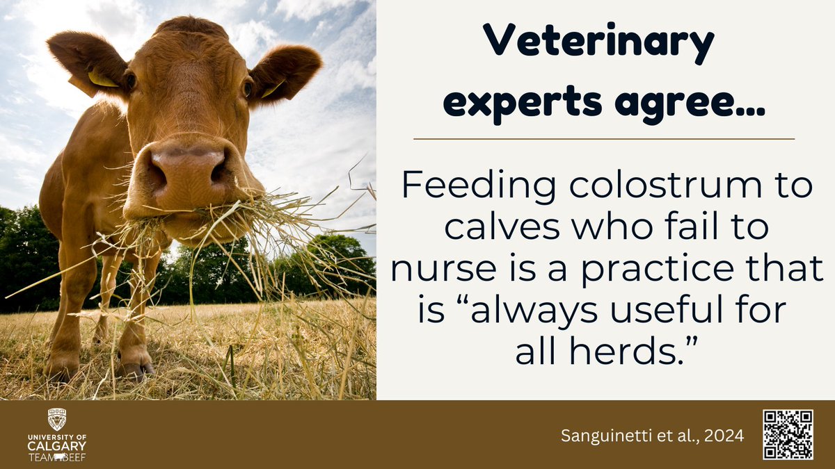 CalfCareClaire tweet media