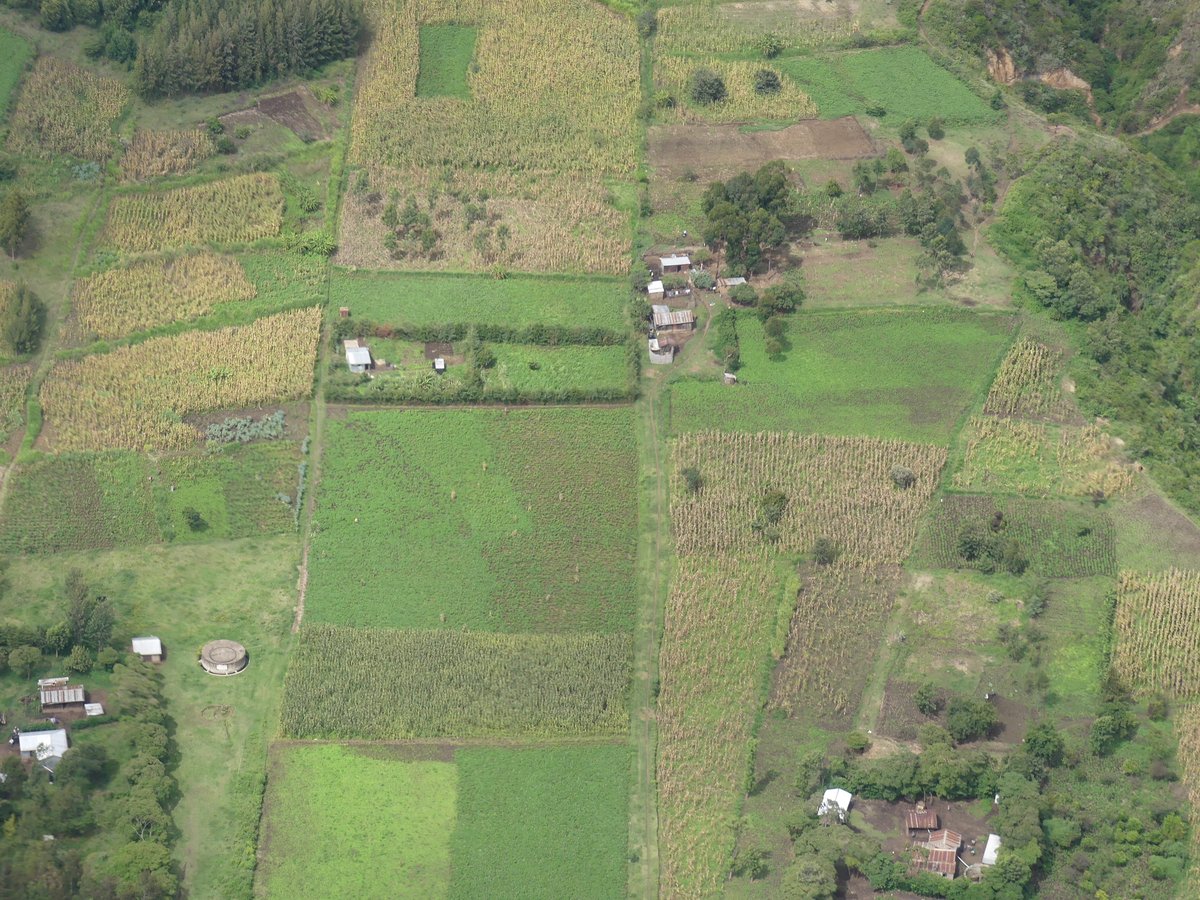 PhotosForTrees's tweet photo. #Eburu from above #kenyafromabove #aerialphoto #agroforestry https://t.co/u6t7sbC79j
