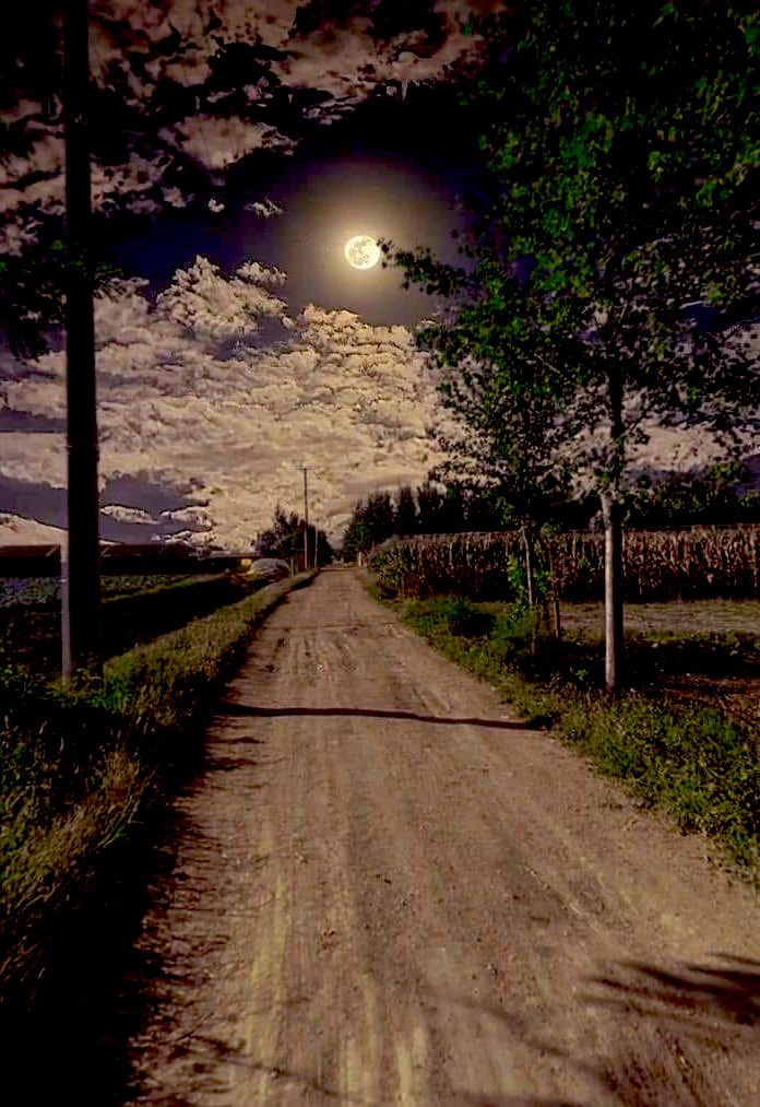 Good night 💫🌟✨♥️