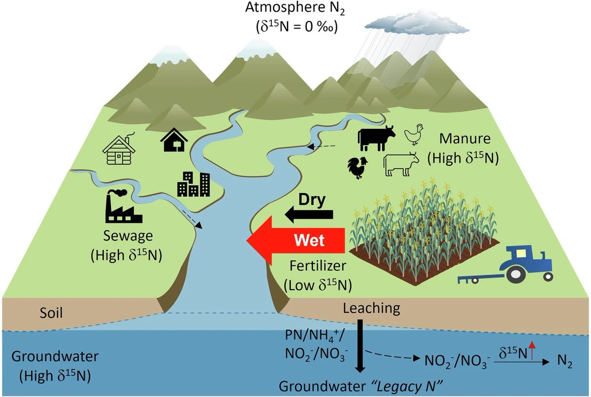 MarkNitrogen's tweet photo. Perhaps we should rename it the #GulfOfUnderstanding...
Scientists from @BostonCollege bridge the gulf with evidence of preferential transport of fertilizer #nitrogen into the Gulf of Mexico during high water discharge.
#EverywhereAndInvisible
https://t.co/AfhPAAV8DR https://t.co/1T0q0FTrI1