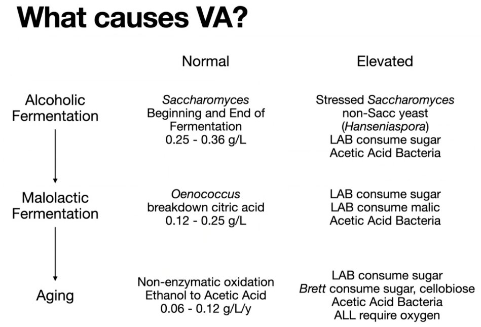 ICYMI: Our 01/16/2025 virtual sensory session discussed volatile acidity and the protection of red wine during aging. Winemaker Lee Hartman of <a href="/BluestoneVine/">Bluestone Vineyard</a> discussed his experiments studying the use of Hideki Tannin and Stab Micro M.

See youtu.be/Ygy5pB2LeJ4
