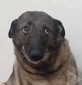 Tüm Türkiye kar yağsın tatil olsun diye dua ederken ücretli öğretmenlerin garibanlık 
#kartatili