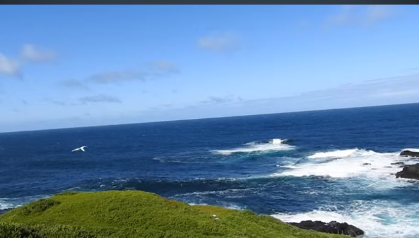 Tip Of the Day tweet media