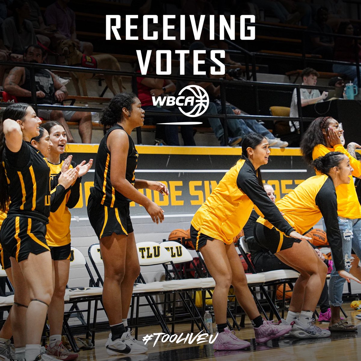 TLU Women’s Basketball tweet media
