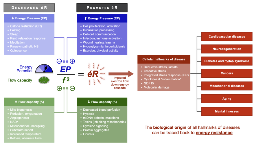 Agreed - understanding how impaired mitochondrial energy transformation capacity increases inflammation and other phenotypes is key

Many cytokines labeled as "inflammation" arise from excessive energy resistance (éR)

osf.io/preprints/osf/…