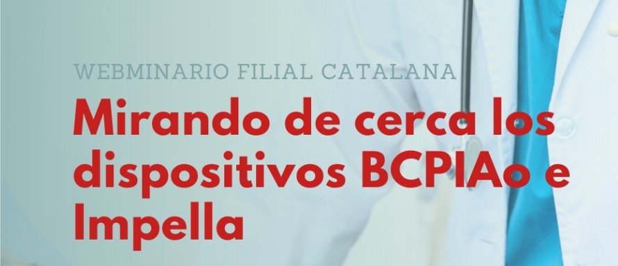 Alba Villalobos tweet media