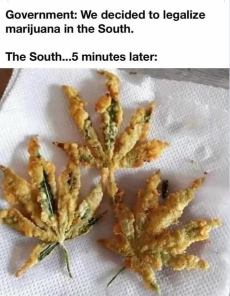 <a href="/MichelleMaxwell/">Michelle Maxwell ™</a> 😂😂😂😂🤣🤣🤣