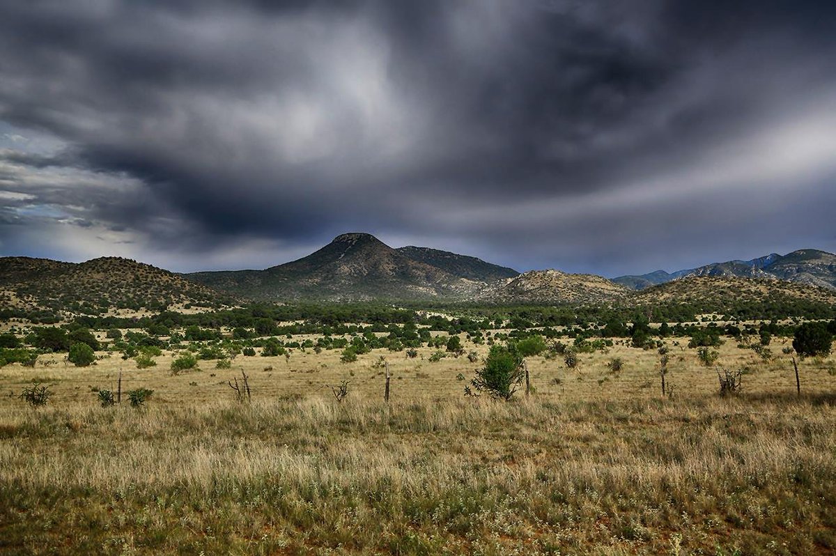 Traces of Texas (@tracesoftexas) on Twitter photo Texas is so randomly beautiful. There I was in the Davis Mountains a few summers ago, minding my own business, when I came upon this scene. Of course I had to stop and take this photo. As Georgia O'keefe noted, in Texas, it's always about the sky. Texas is so randomly beautiful. There I was in the Davis Mountains a few summers ago, minding my own business, when I came upon this scene. Of course I had to stop and take this photo. As Georgia O'keefe noted, in Texas, it's always about the sky.