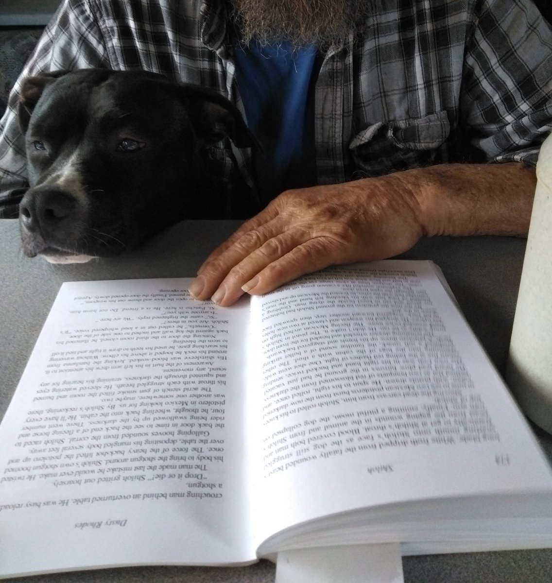 3DogFriends's tweet image. Sometimes you just need to be held, so you shove your head under someone&apos;s arm and snuggle up close. Rainy days suck! 😂😍 #Pupp