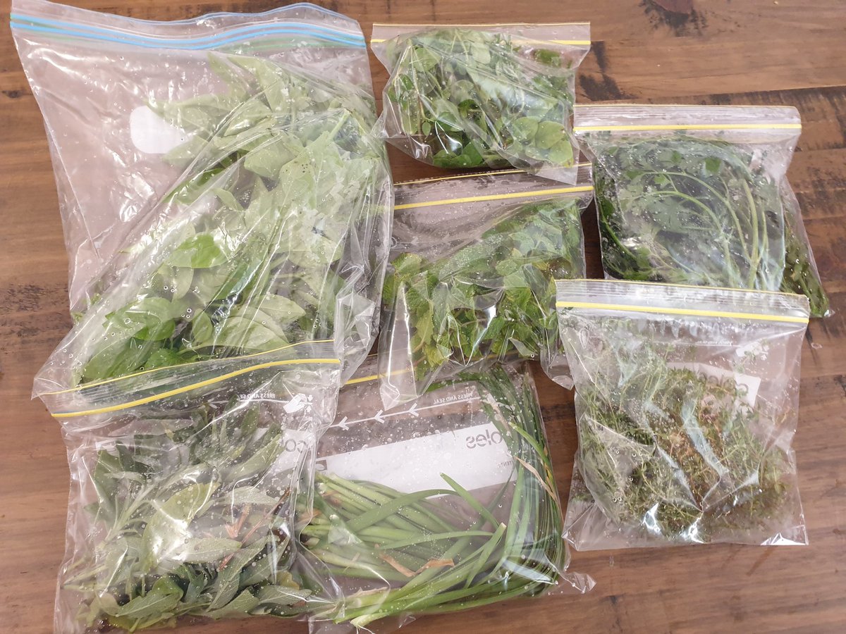 Sue Waters tweet media