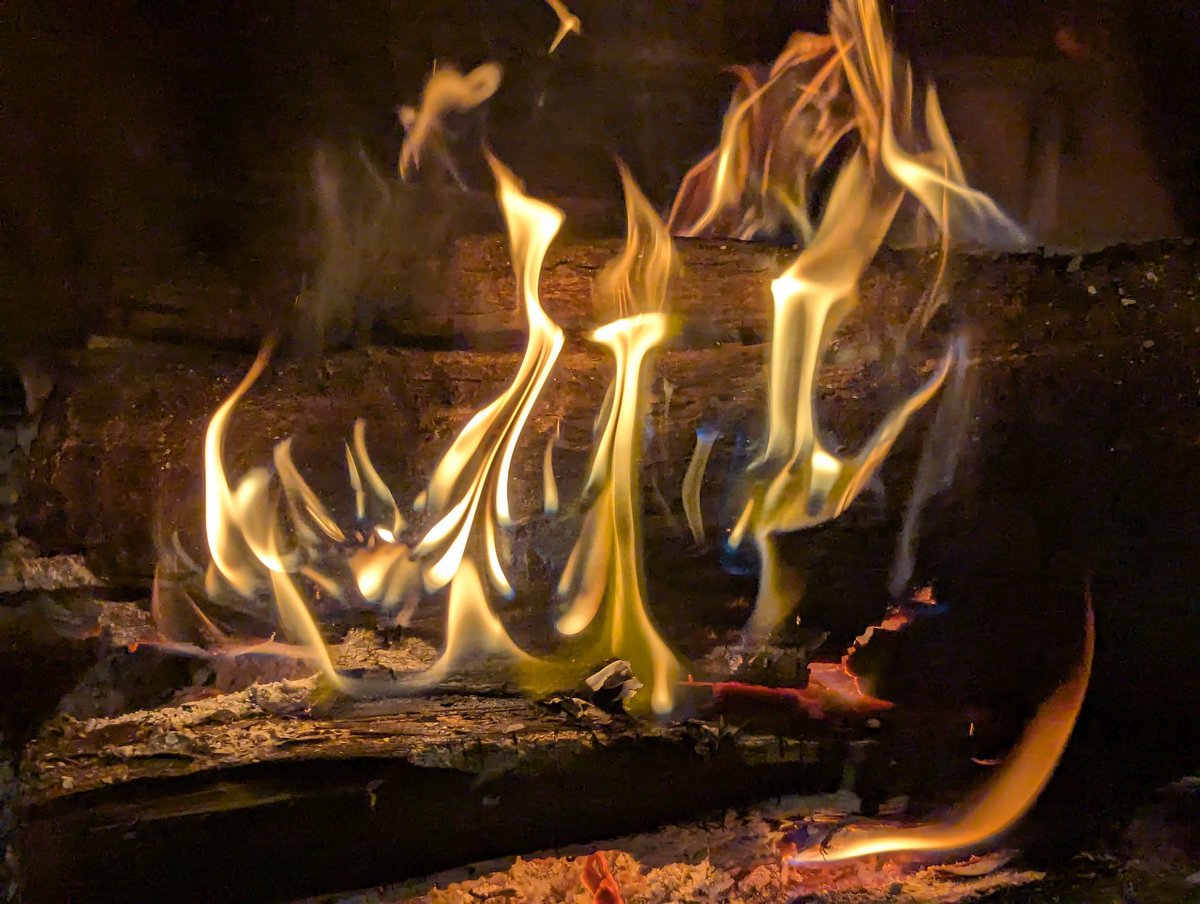 michellekafer's tweet photo. Hearth and home enhance the environment of learning. The relationships forged through conversations fueled by excellent content from across the millennia of human experience is good and beautiful. Humility is exemplified in familial lifelong learning.
#homeschooling #classicaled https://t.co/Whl43zCuxm