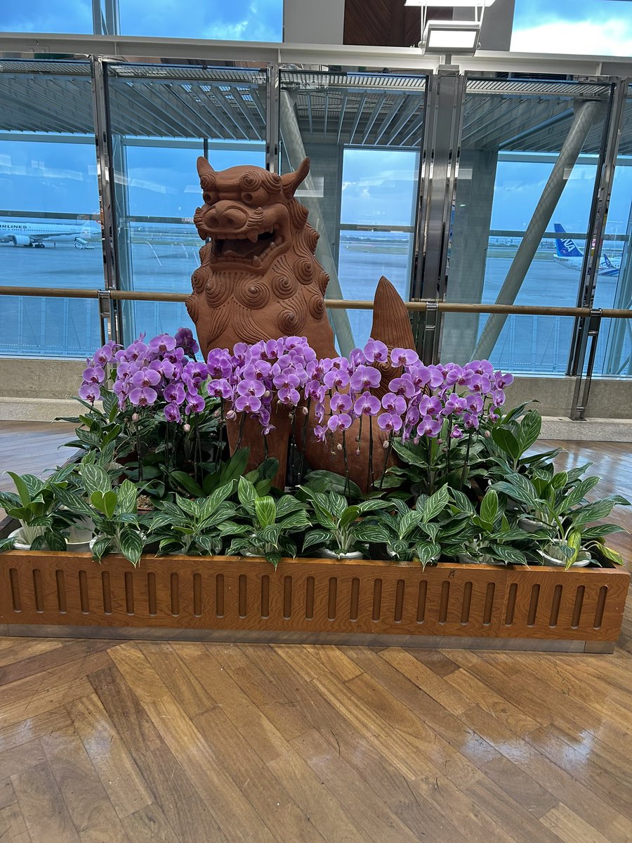 p_q_nx913's tweet image. 2度目のめんそーれ♪♪