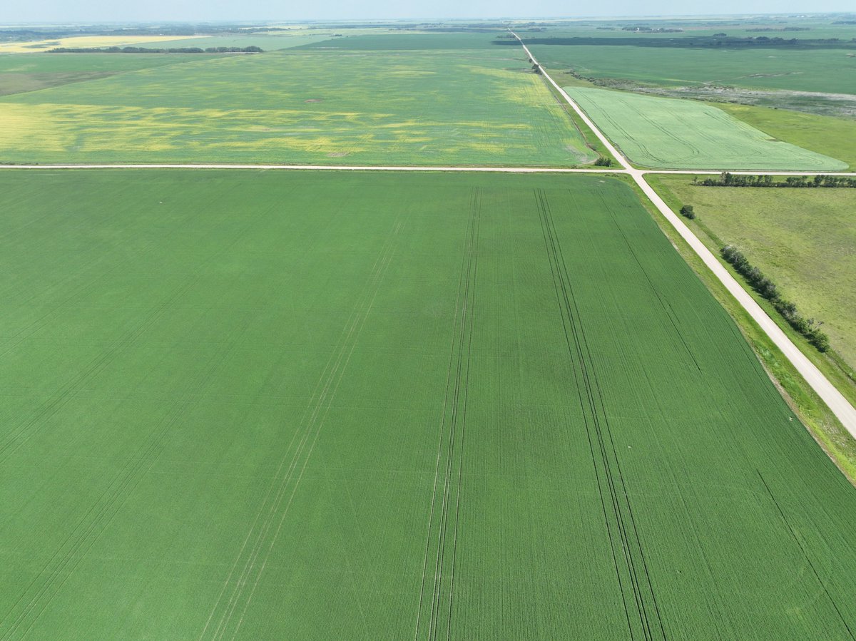We cannot let this day pass us by...
Happy Canadian AG Day! 🍁 Celebrating our job of growing healthy food, hosting 43% of Canadian arable land here in SK! We raise our forks to SK AG producers and industry, leading the way in safe and sustainable food production!  #CdnAgDay