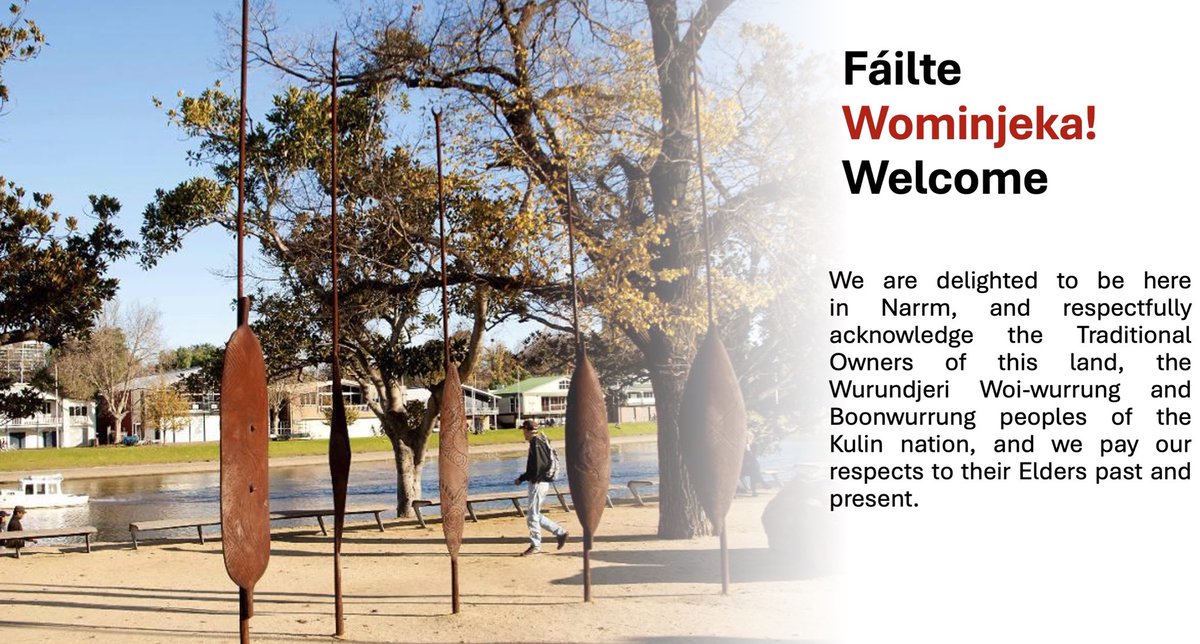 T.J. Ó Ceallaigh tweet media