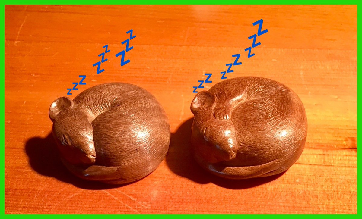 woodcarver_t's tweet image. Good night from me &amp;amp; the mice 😴🐭💤
