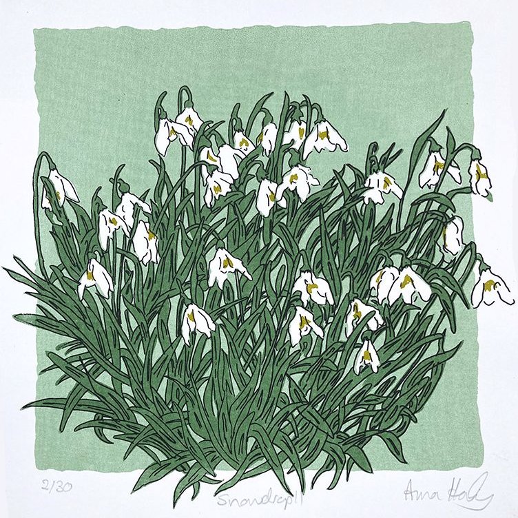 marysia_cc's tweet photo. Snowdrop II, Art Print by Anna Harley https://t.co/pclk4iiNVd