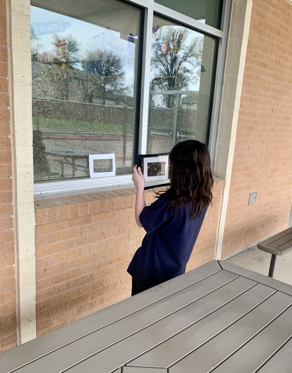 Sara Allen tweet media